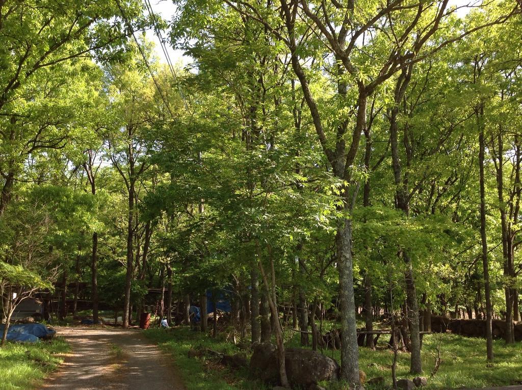 유후 Itsubinosato 게스트하우스 외부 사진